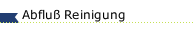 Abflu&szlig; Reinigung